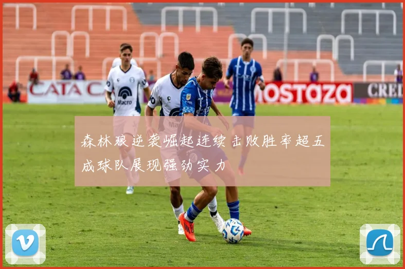 森林狼逆袭崛起连续击败胜率超五成球队展现强劲实力