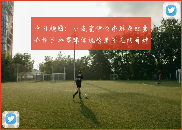 今日趣图：小麦霍伊伦夺冠鱼缸桑乔伊兰加零球你说啥看不见的奇妙瞬间