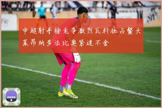 中超射手榜竞争激烈瓦科独占鳌头莱昂纳多法比奥紧追不舍