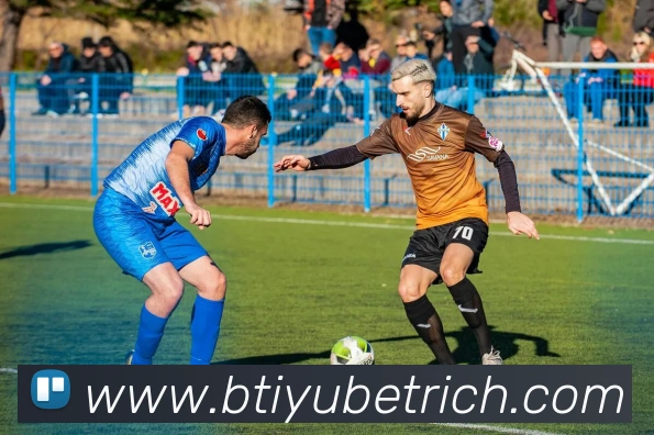 B体育平台生态图