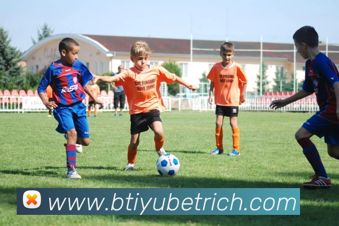 B体育APP 封面图